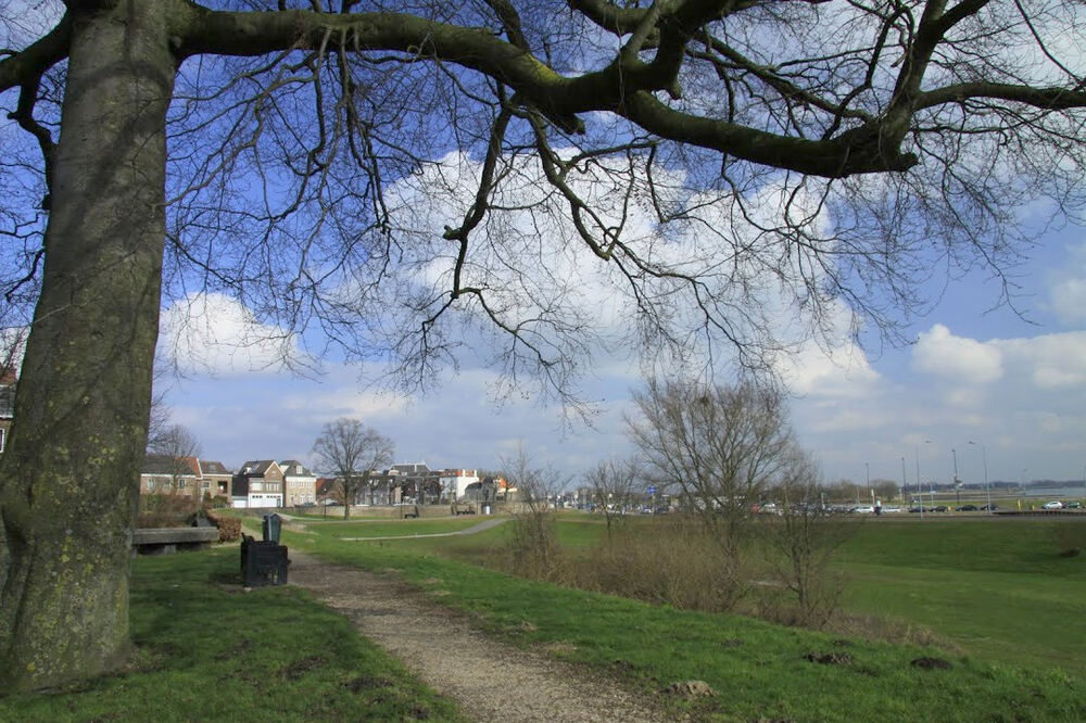 Een wandelpad onder een boom langs de Waal bij Tiel