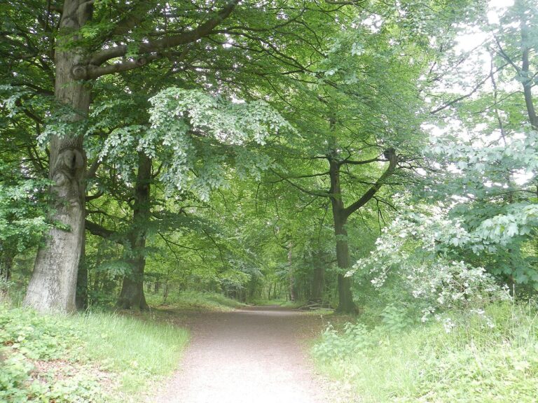 Stadswandeling met gids — natuur in Tiel